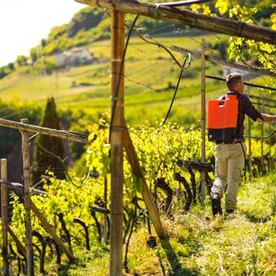 מרסס גב נטען 5 ליטר 12V - ניוטק