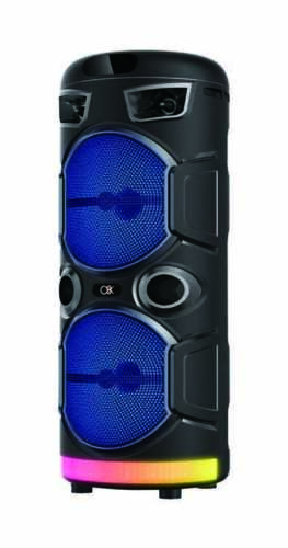 רמקול קריוקי 2 רמקולים 6.5 אינץ' + מיקרופון BT-6206 GERMAINE