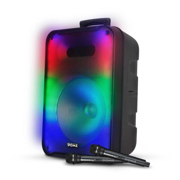 בידורית "2000W 12 עם 2 מיקרופונים אלחוטיים