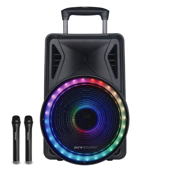 בידורית 2000W עם 2 מיקרופונים אלחוטיים