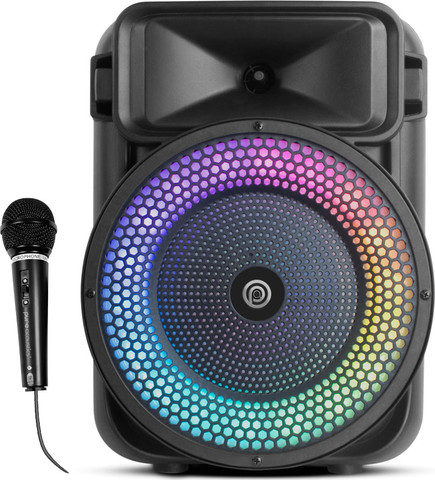 בידורית 1100W כולל מיקרופון חוטי Pure Acoustics פיור אקוסטיקס WOMB-108