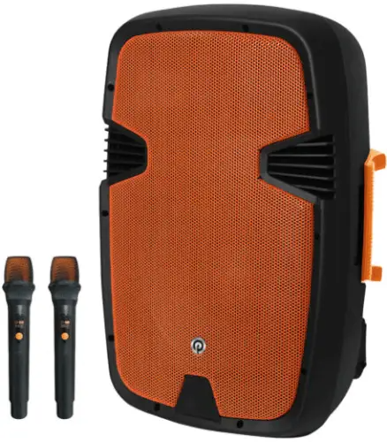 בידורית בלוטוס עם 2 מיקרופונים אלחוטיים PMW-4412