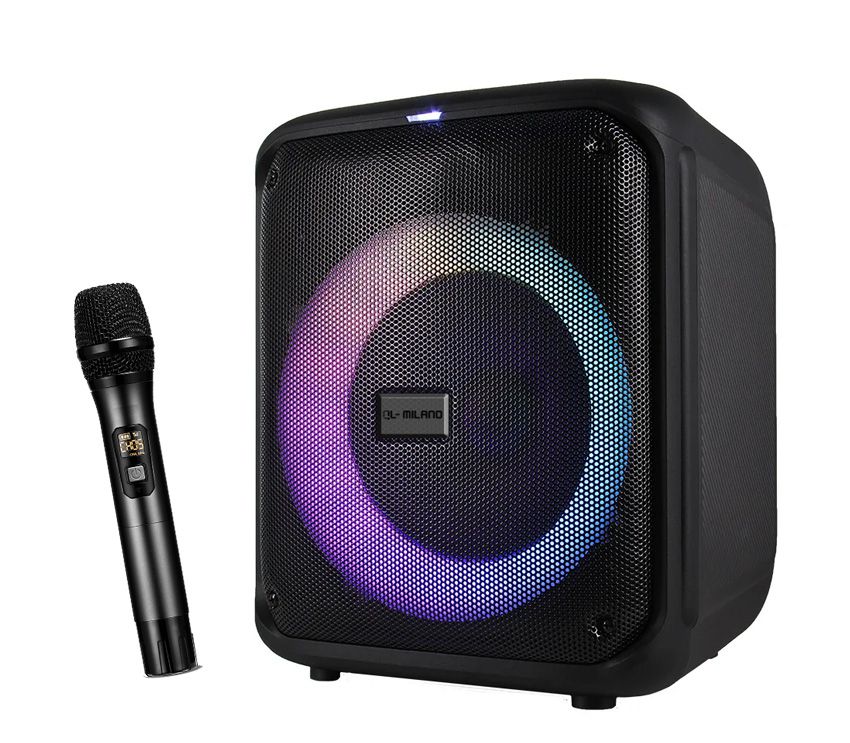 בידורית ניידת עם מיקרופון אלחוטי QL Milano TOWER-108 80W - קונקטור