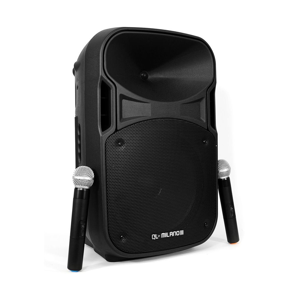 בידורית קריוקי ניידת 700W QL-710 עם גלגלים - קונקטור