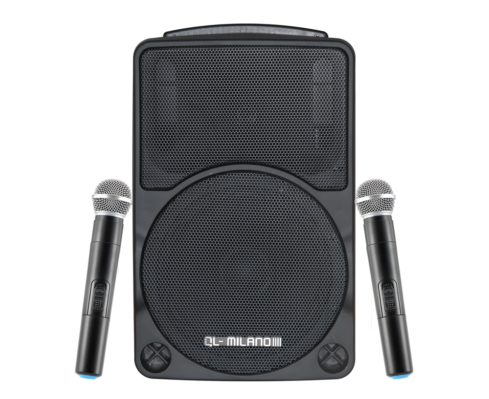 בידורית קריוקי QL-Milano QL-510 בעוצמה 500W - קונקטור