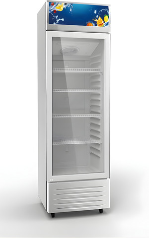 מקרר בקבוקים ויטרינה 322 ליטר דגם SER-388 מבית SERVICES