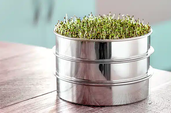 ערכת ניקוי רעלים עם מסחטת מיץ Oscar DA-1200 ומנבטת מנירוסטה – תמונה 9