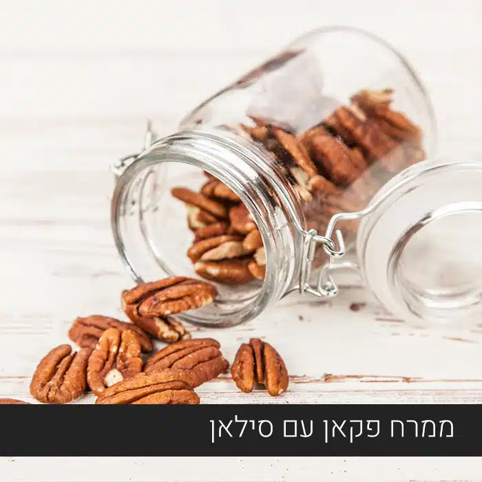 סדנת בישול טבעוני עם חוברת מתכונים חינמית להורדה – תמונה 3