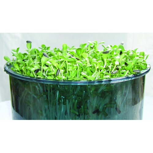 מנבטה חשמלית Tribest Freshlife דגם 3000 – תמונה 6