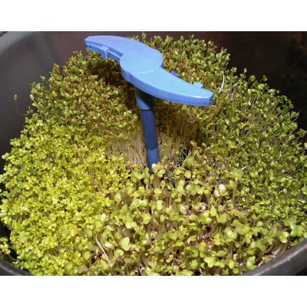 מנבטה חשמלית Tribest Freshlife דגם 3000 – תמונה 7