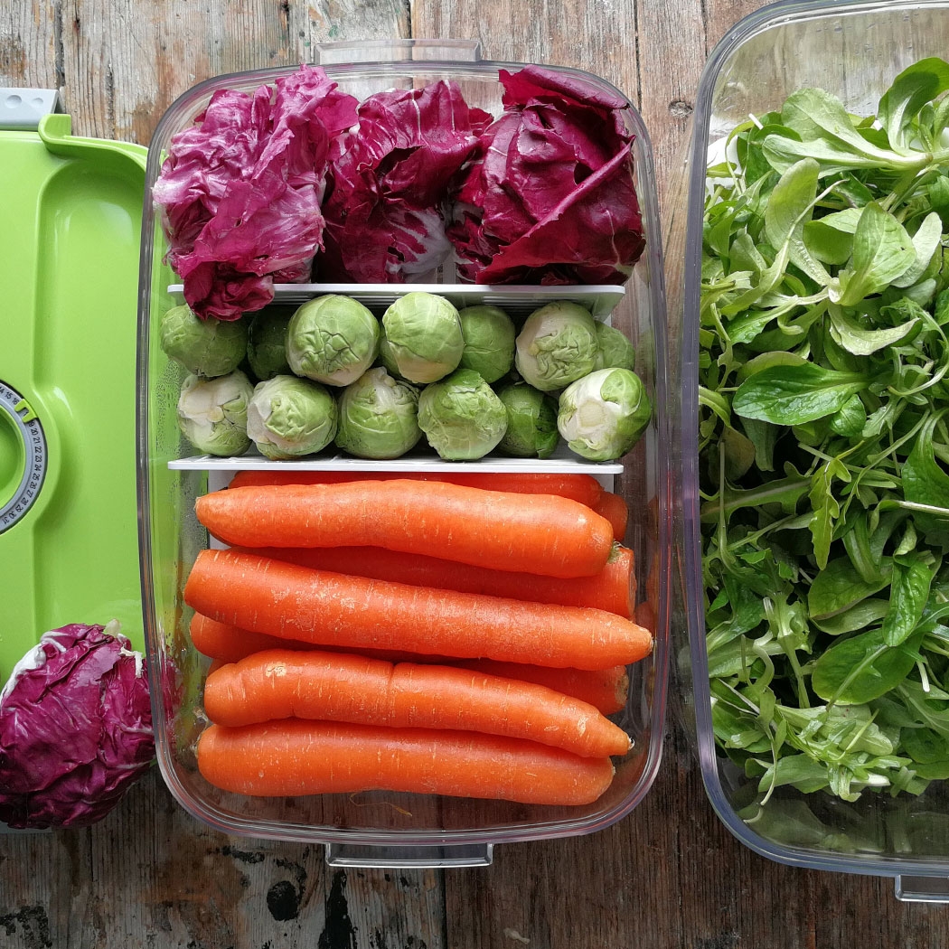 קופסאות ואקום לאחסון 3.0/4.5 ליטר - סטטוס – תמונה 6