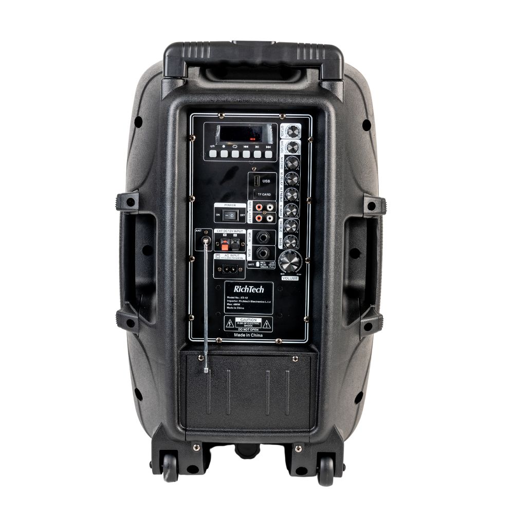 בידורית קריוקי נטענת 12 אינץ' RichTech STUDIO עם מיקרופונים אלחוטיים - קונקטור – תמונה 3