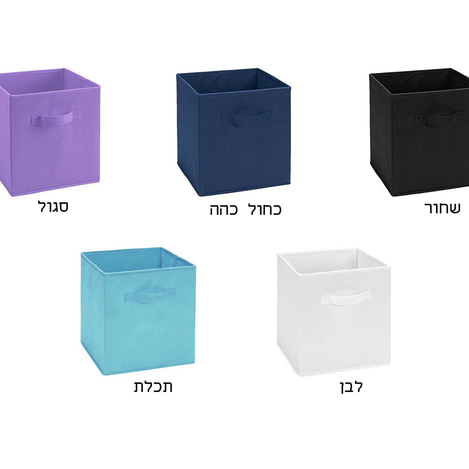 ג'ני 8 - כוורת 8 תאים – תמונה 7