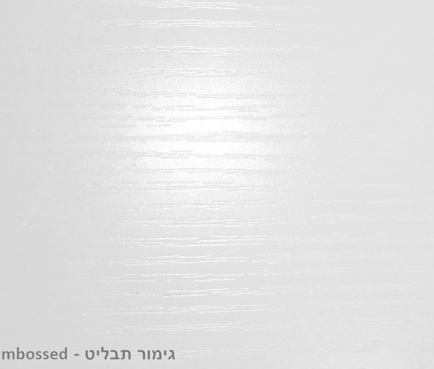 ג'ני 6 - כוורת עץ בגימור תבליט – תמונה 5