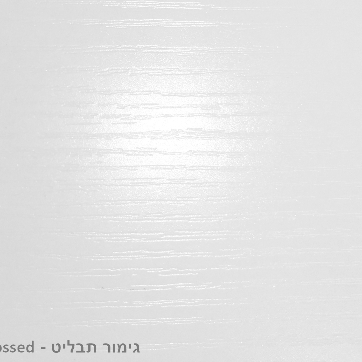 ג'ני 8 - כוורת 8 תאים – תמונה 3