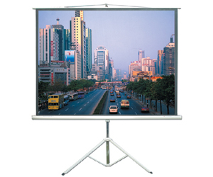 מסך הקרנה רצפתי על חצובה 127X127 TMS NN127T