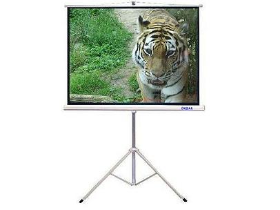 מסך הקרנה על חצובה 127X127 מבית CAESAR CAESAR125T