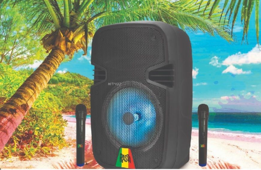 רמקול מוגבר נייד לקריוקי 12" 1000 וואט RASTA-12