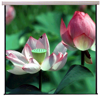 מסך הקרנה ידני NN150VM1 בגודל 305X230 ס"מ
