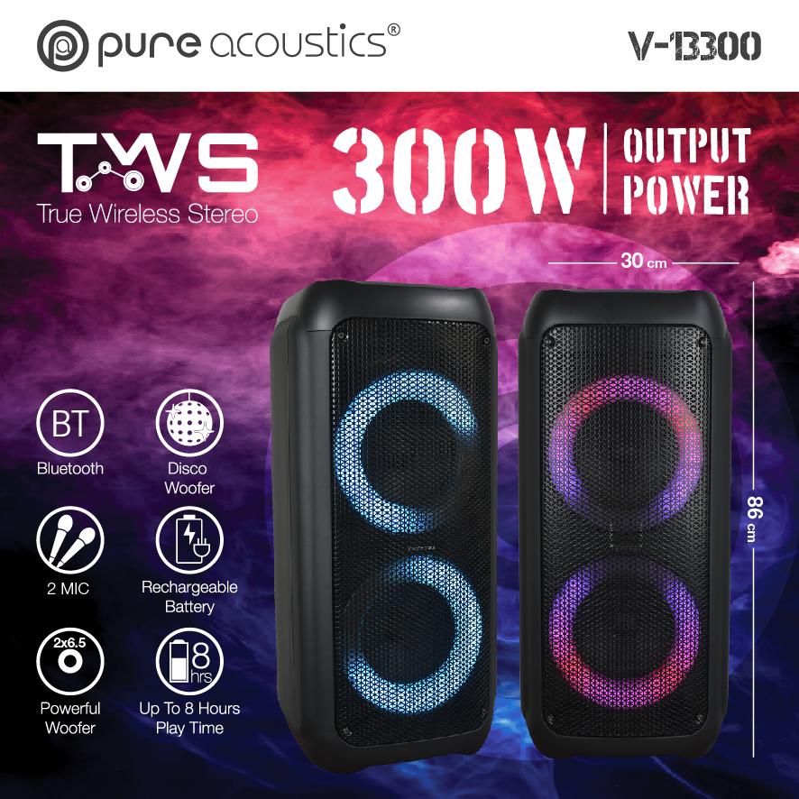 רמקול נייד PURE ACOUSTICS דגם V-13300 עם 2 מיקרופונים – תמונה 3