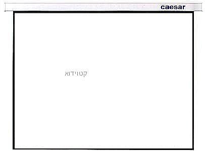 מסך הקרנה חשמלי CAESAR TOP 366X366