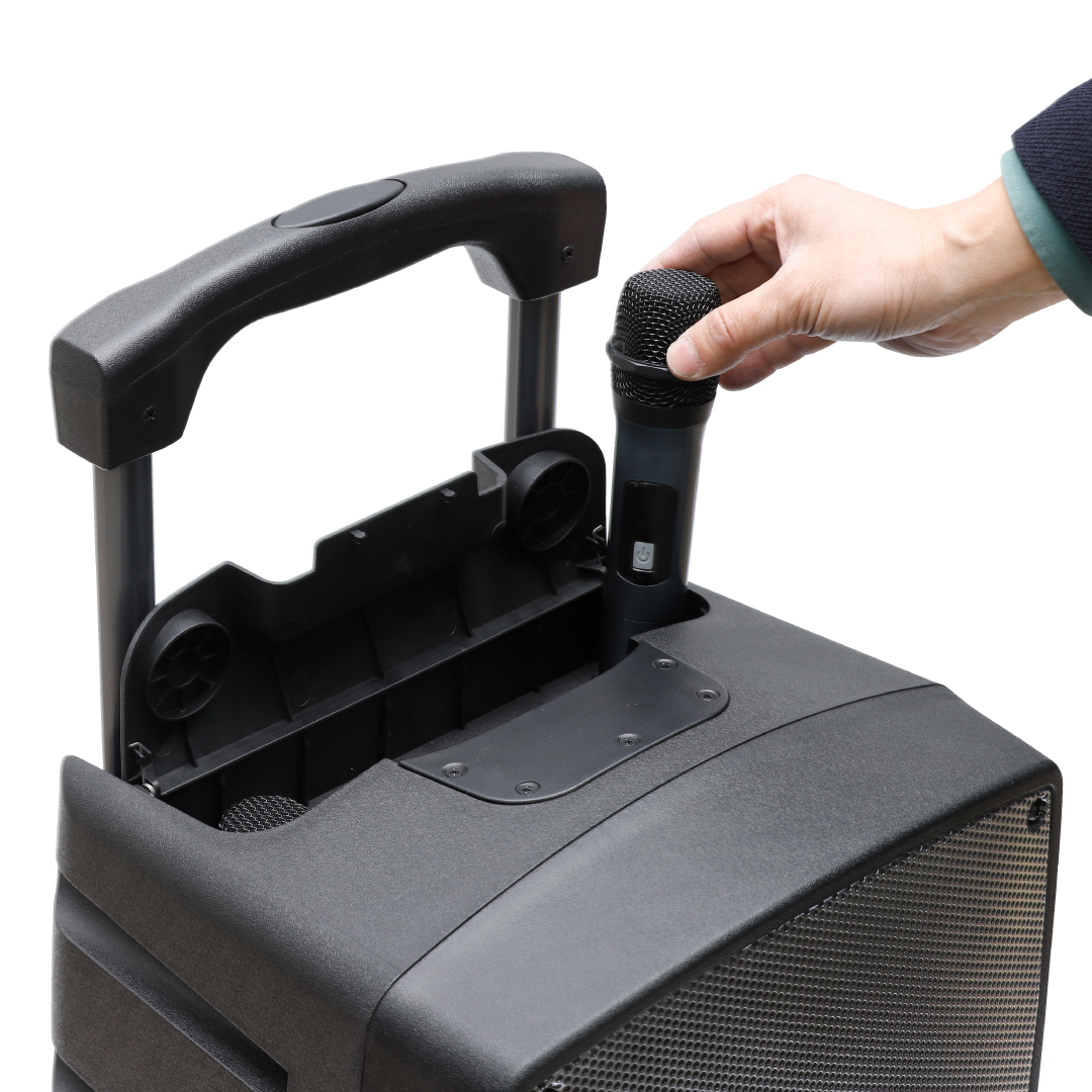 מערכת הגברה ניידת AIWA דגם TSUNAMI-15 עם 2 מיקרופונים 600W – תמונה 4