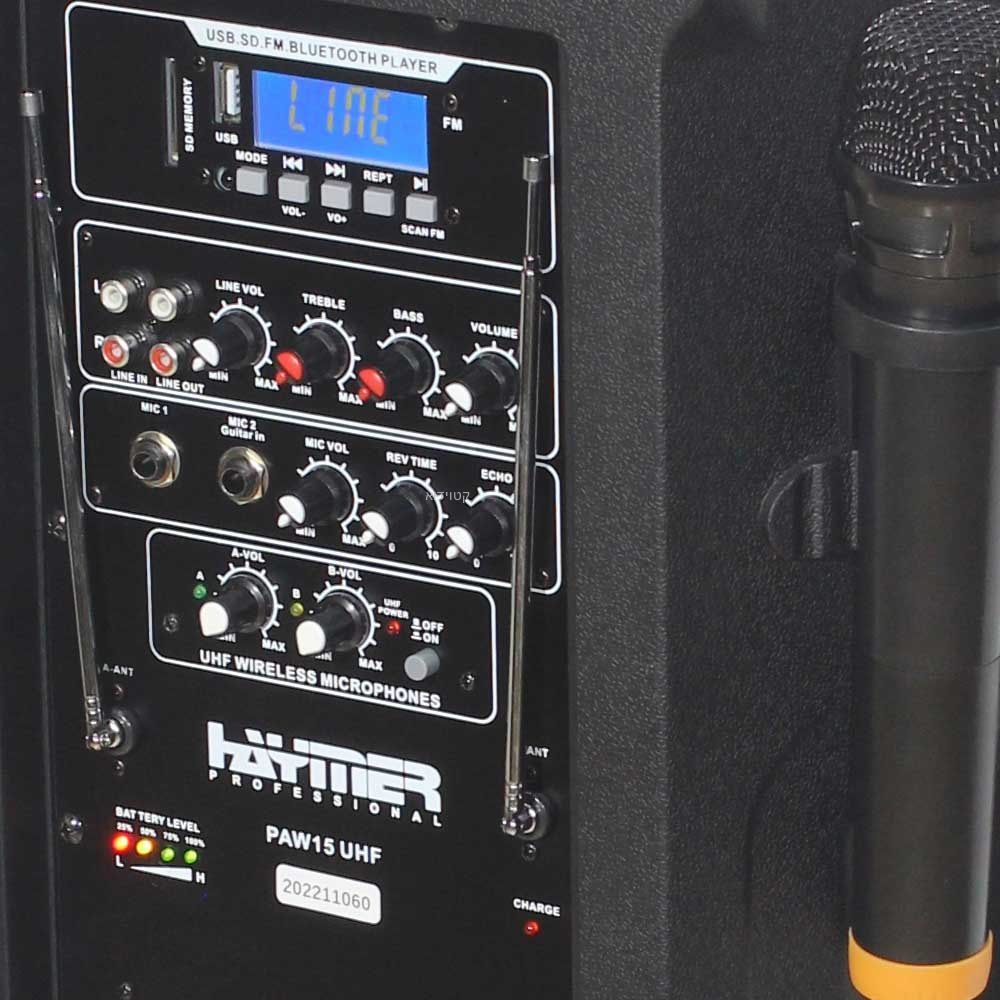 רמקול מוגבר מקצועי נייד לקריוקי HAYMER PAW15U – תמונה 3