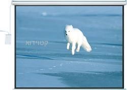 מסך הקרנה חשמלי LEAD SCREEN LEAD213S