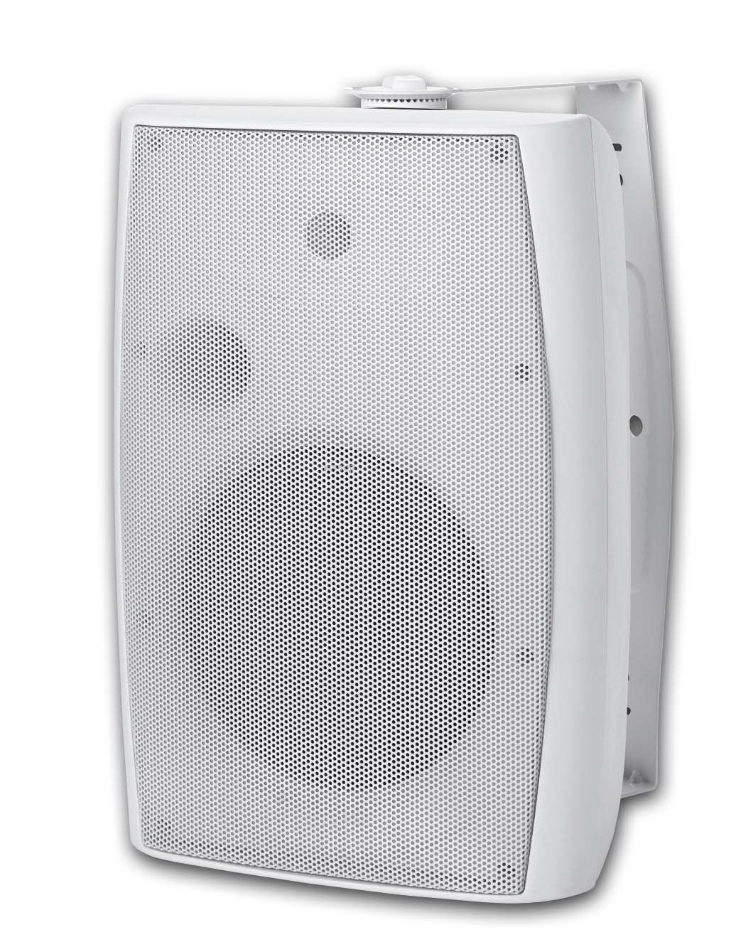 רמקול קווי לגינה עם הגנה PURE SOUND ODN6T
